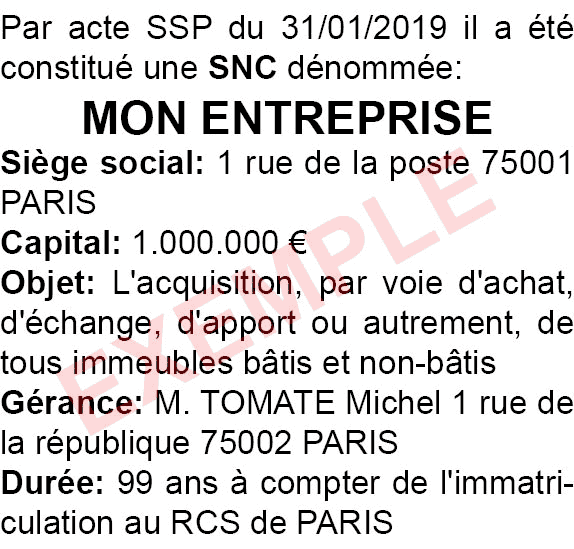 modèle annonce légale création snc
